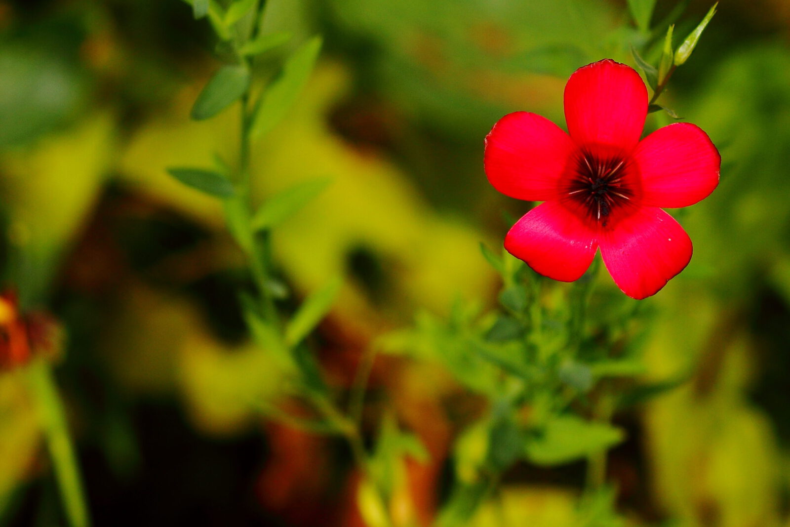 Fotodienstleistungen Bernd Hausdorf