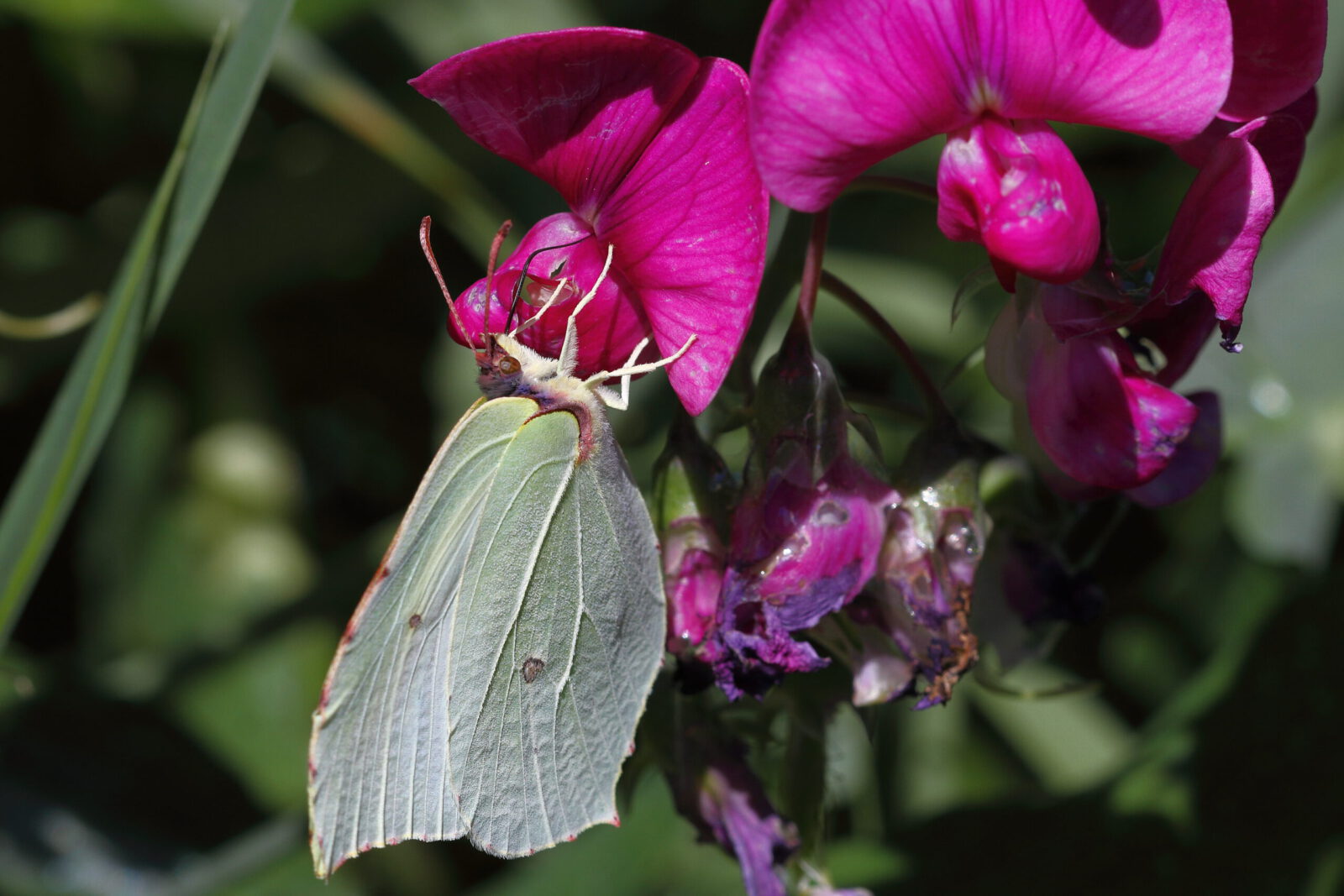 Fotodienstleistungen Bernd Hausdorf