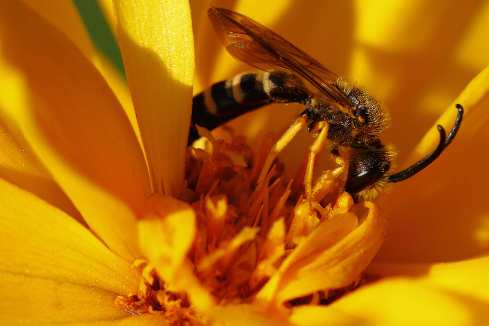 Fotodienstleistungen Bernd Hausdorf