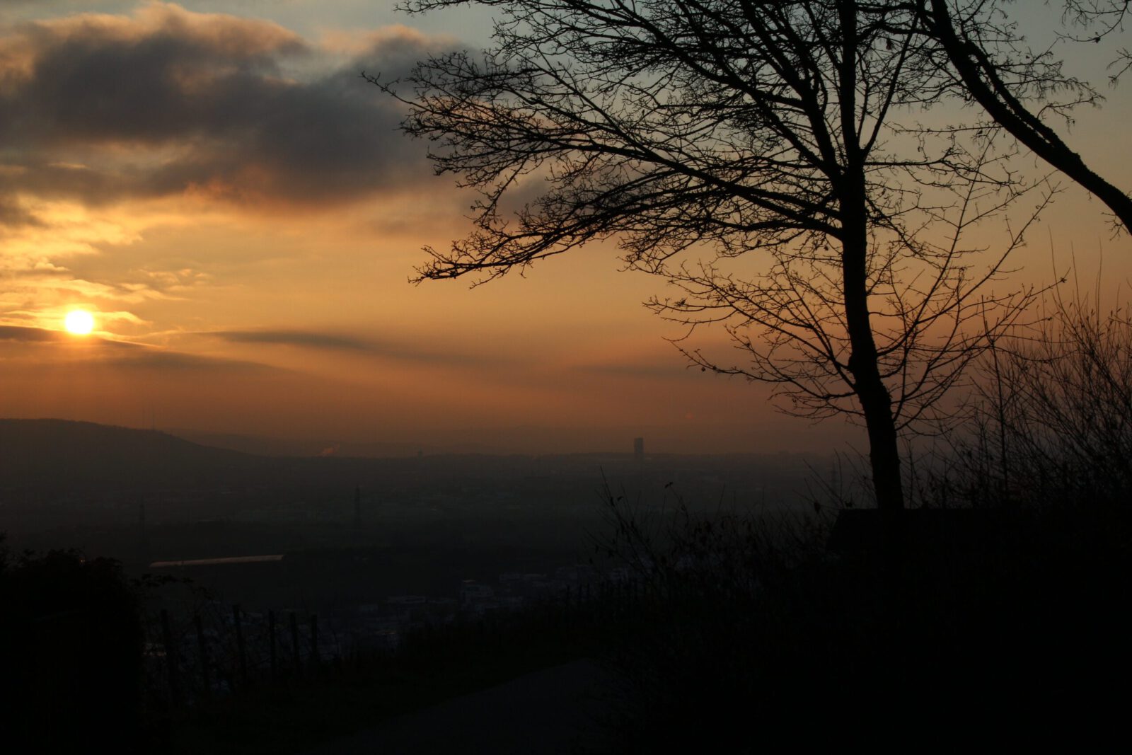 Fotodienstleistungen Bernd Hausdorf