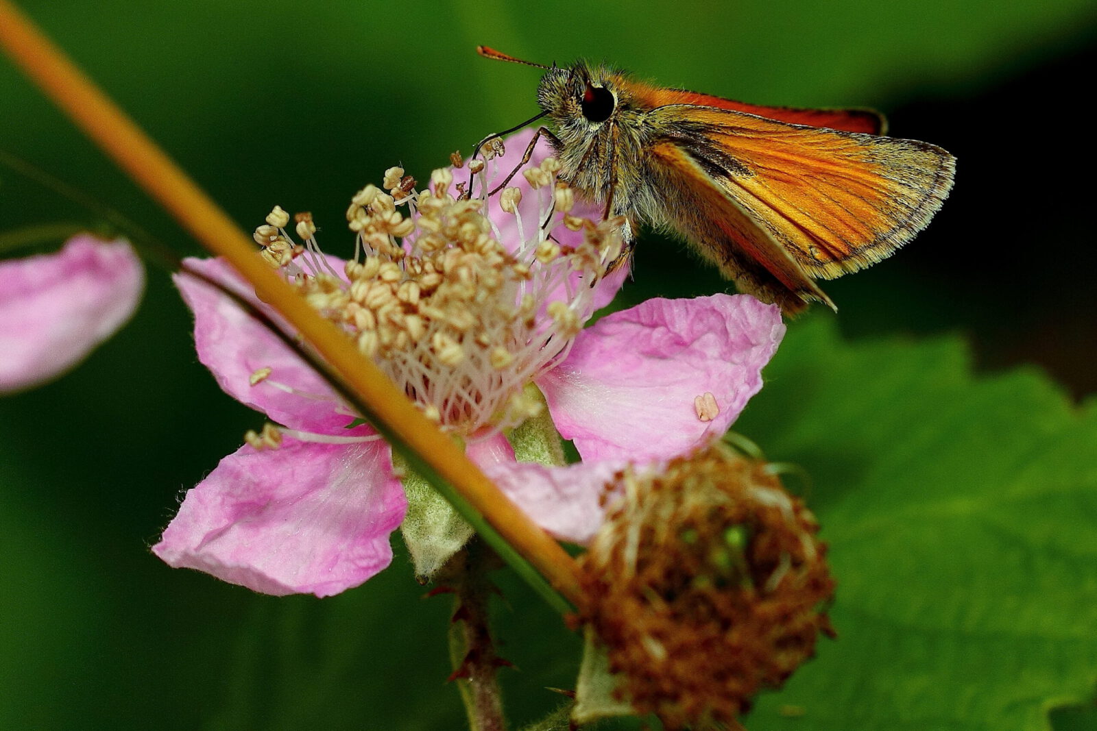 Fotodienstleistungen Bernd Hausdorf