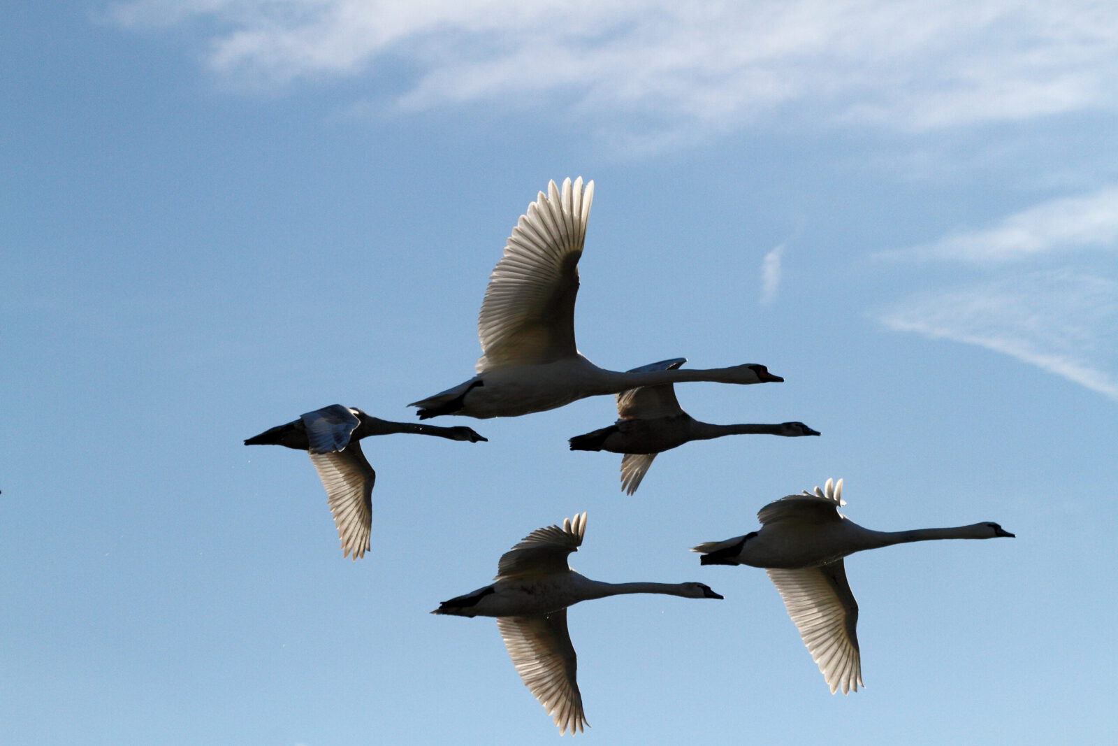 Fotodienstleistungen Bernd Hausdorf