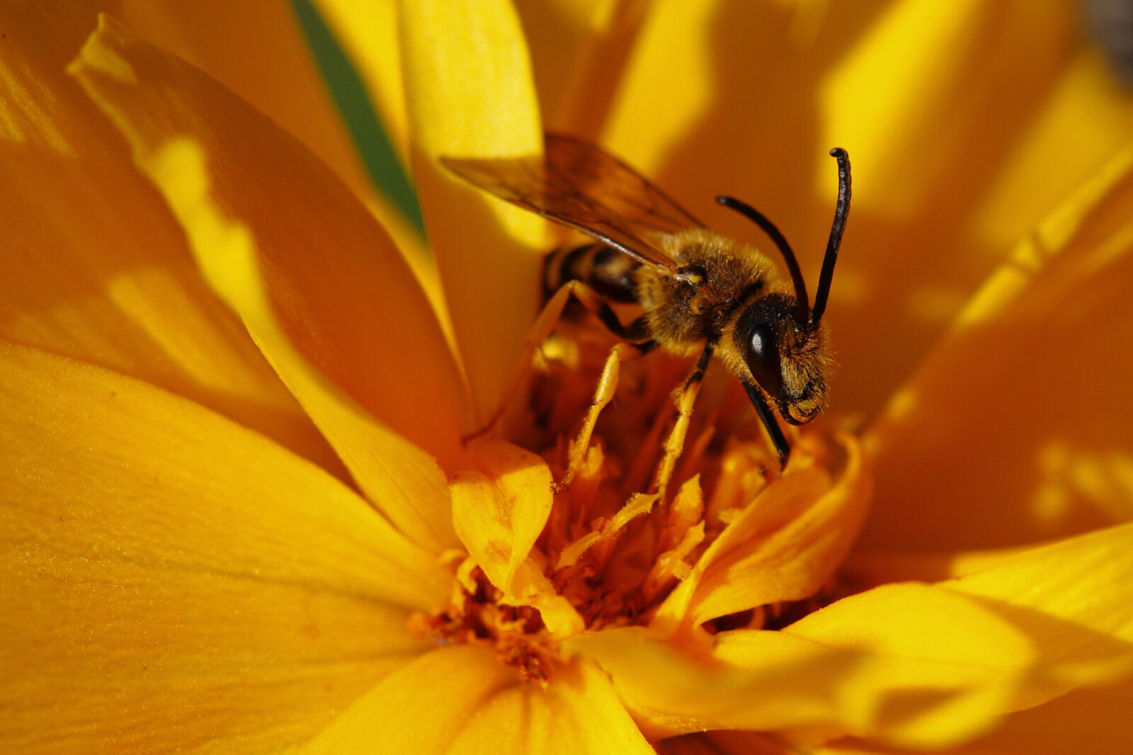Fotodienstleistungen Bernd Hausdorf