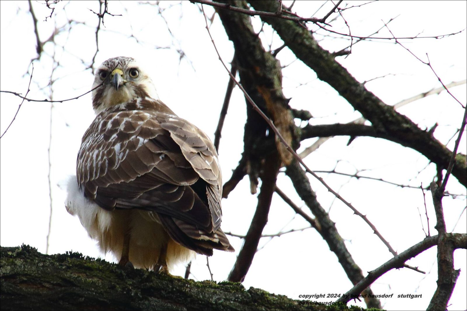 Fotodienstleistungen Bernd Hausdorf