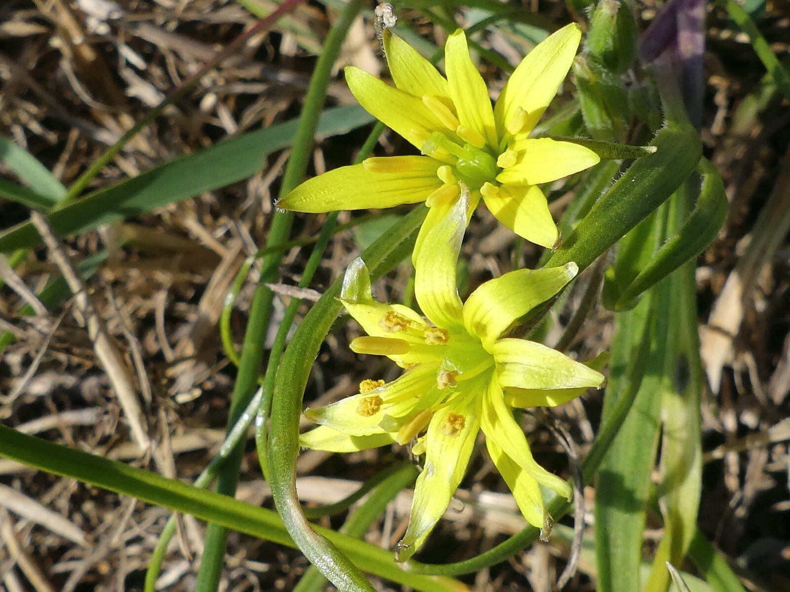 Fotodienstleistungen Bernd Hausdorf