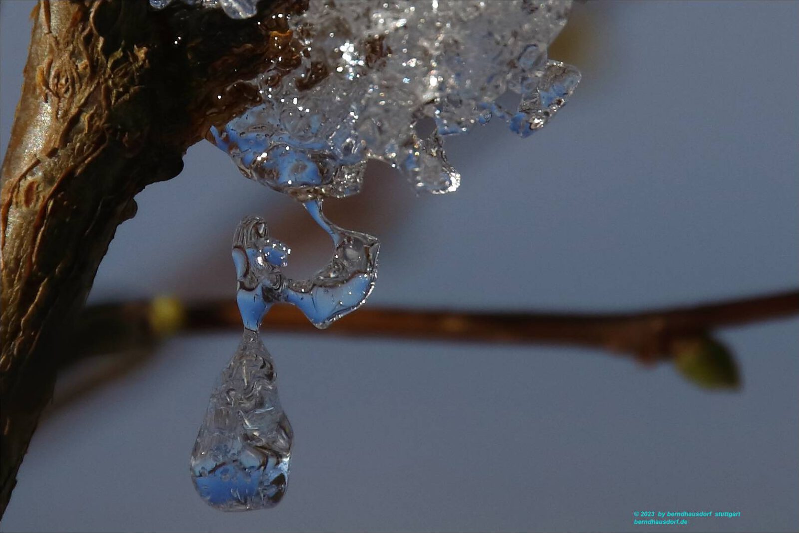 Fotodienstleistungen Bernd Hausdorf