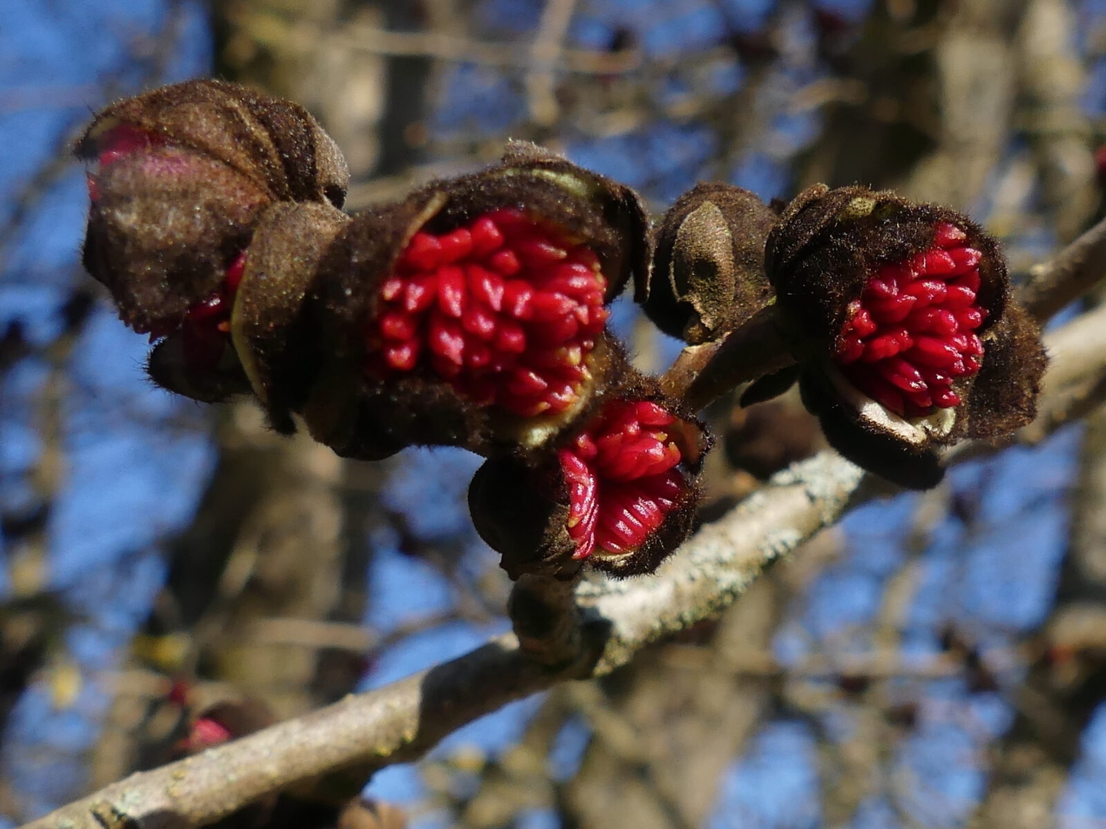 Fotodienstleistungen Bernd Hausdorf