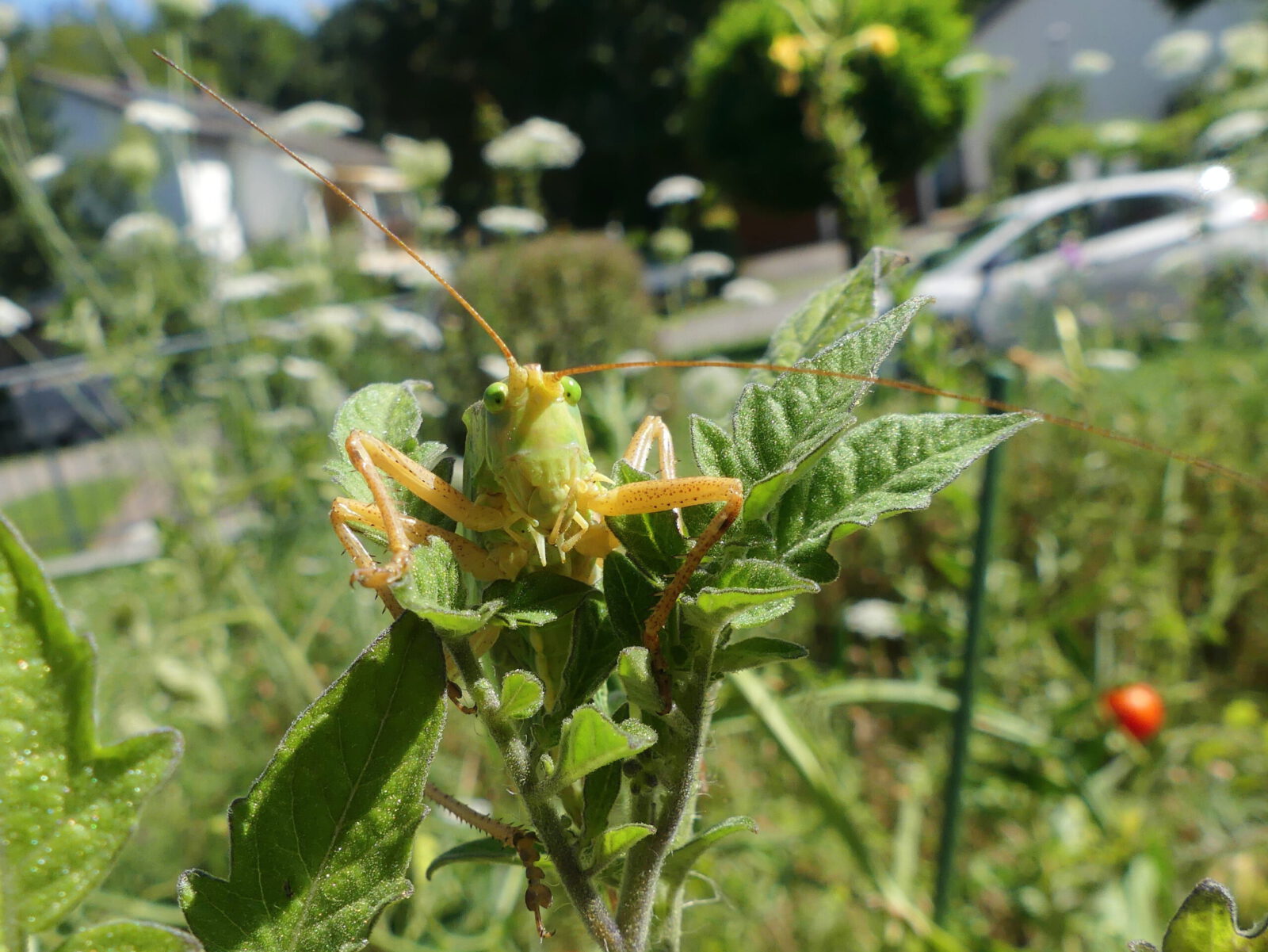 Fotodienstleistungen Bernd Hausdorf