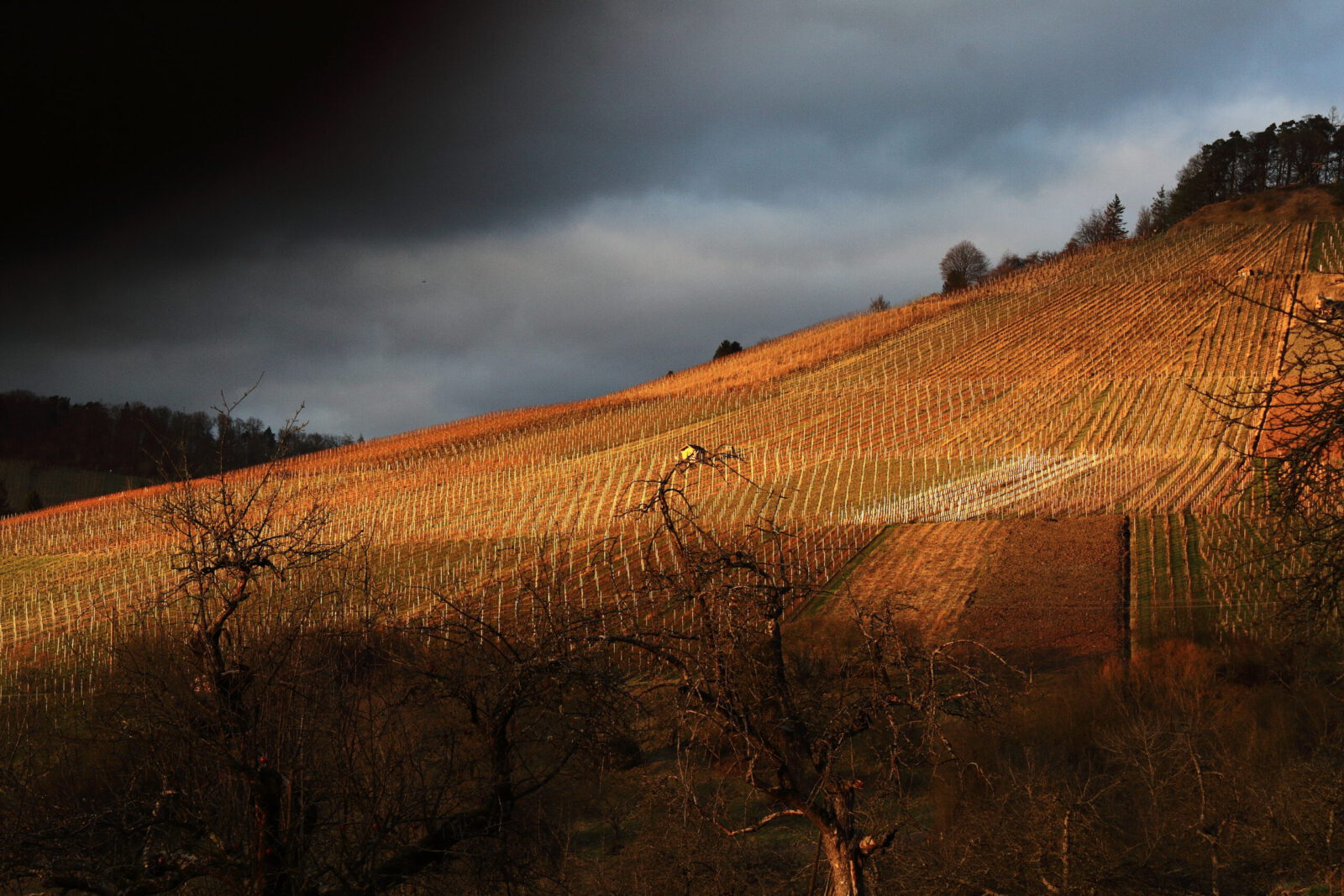 Fotodienstleistungen Bernd Hausdorf